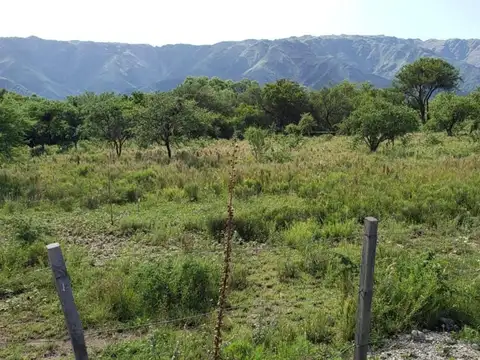 Los Alamos