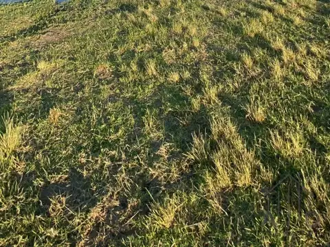 Terreno en Venta 10  mts Frente