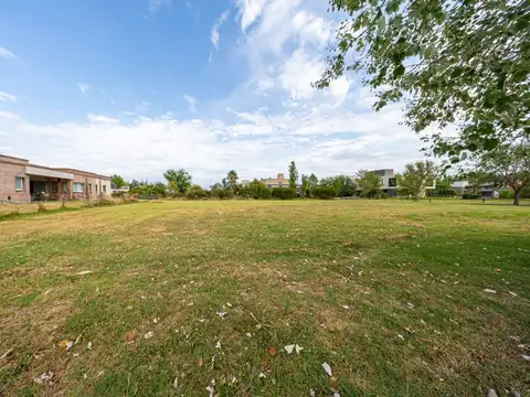 LOTE 200