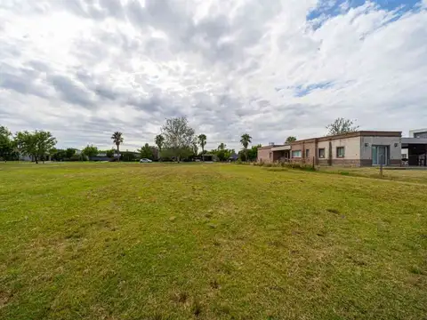 LOTE 200