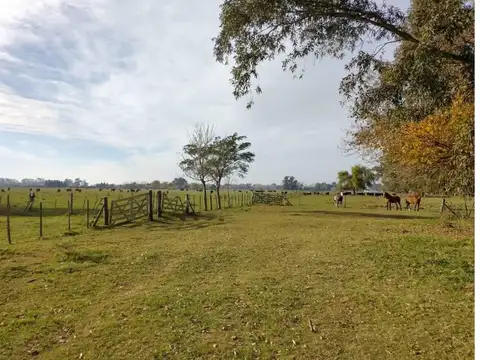 Campo en Venta de 80  ha