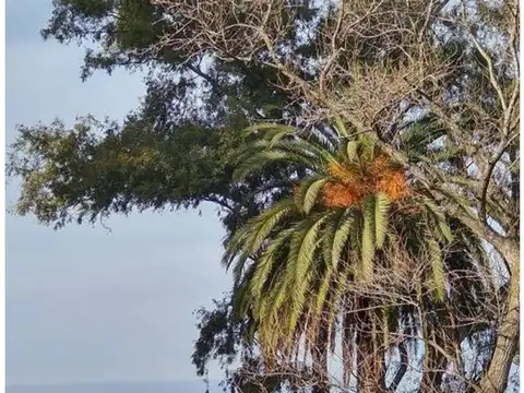 Campo en Venta de 80  ha