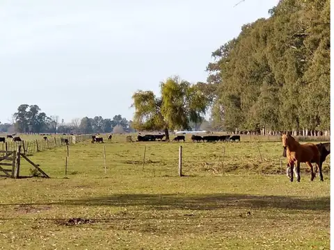 Campo en Venta en General las Heras, Partido de General Las Heras