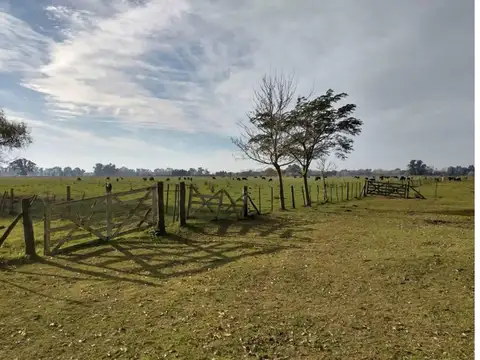 Ruta Prov N° 42 100