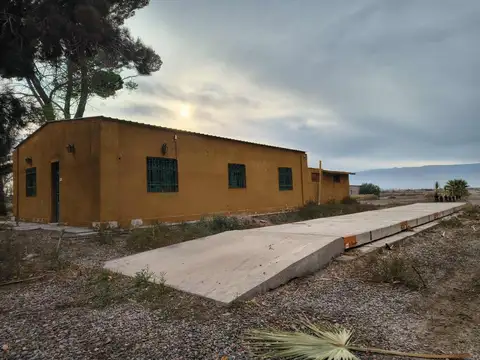 Feedlot de 33,6 has, con infraestructura. Angaco
