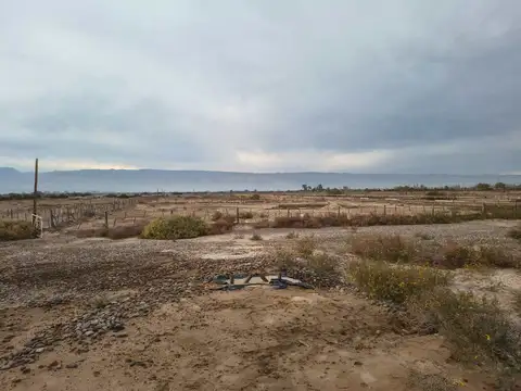Santa Elena 100