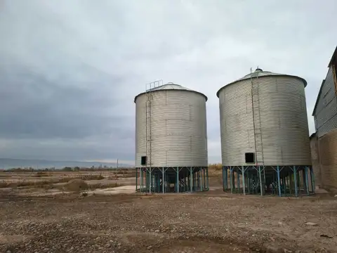 Santa Elena 100
