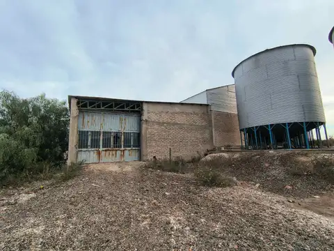 Feedlot de 33,6 has, con infraestructura. Angaco