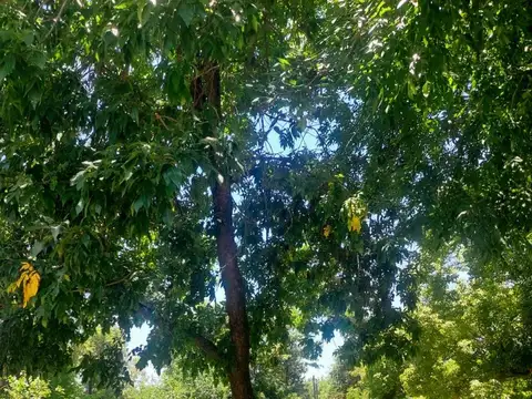 Venta Lote en La Peregrina, La Lonja, Pilar. 820 mts