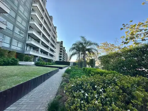 Complejo Palmas de Buena Vista,  San Fernando