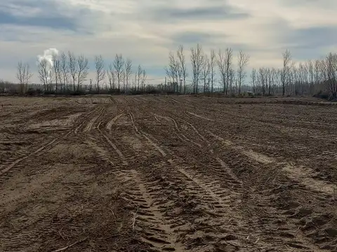 Terreno 1 Ha.