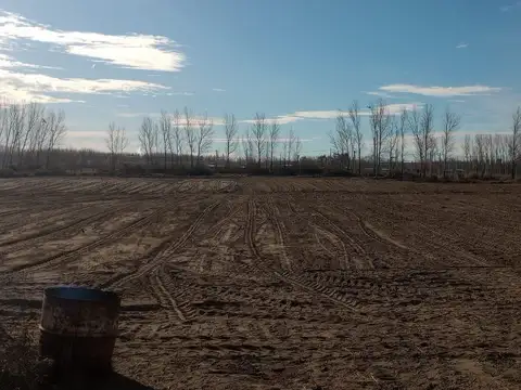 Terreno en Venta 100  mts Fondo