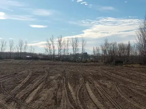 Terreno en Venta de 10000,0 m2