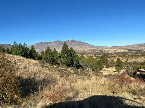 Terreno en Venta 116  mts Fondo