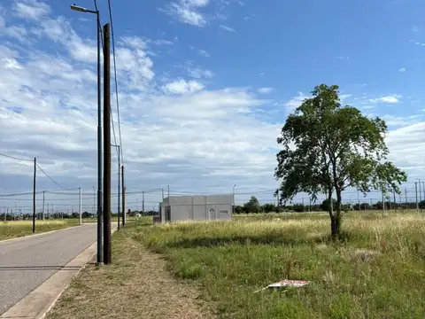 Avenida Padre Luchesse