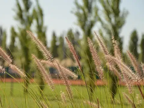 Terreno en Venta en San Roque, USD 41.000