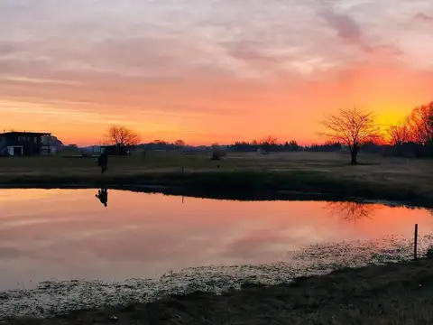 Lote en Medal Country Club Pilar de 1218 metros.