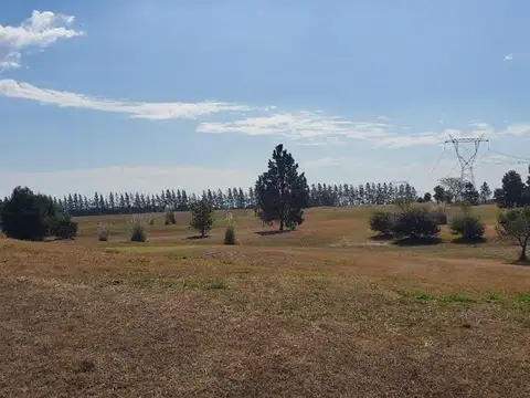 Ruta 34