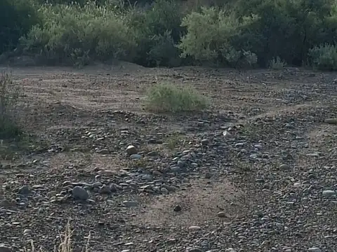 Terreno en Venta en Las Heras, $ 7.000.000