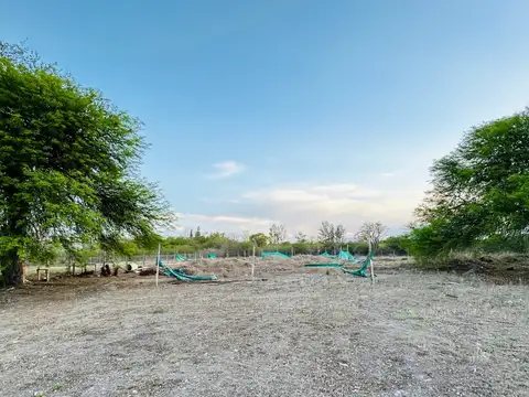 Terreno en Venta de 2237,0 m2