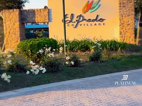 El Prado 100
