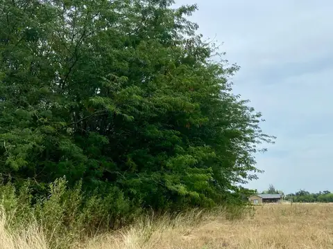 Terreno en Venta de 1700,0 m2