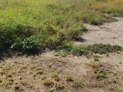 Terreno en Venta de 393,0 m2