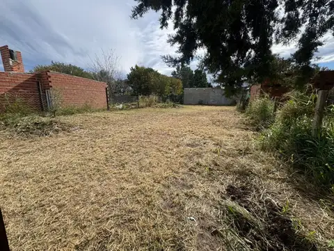 Roverano 3200