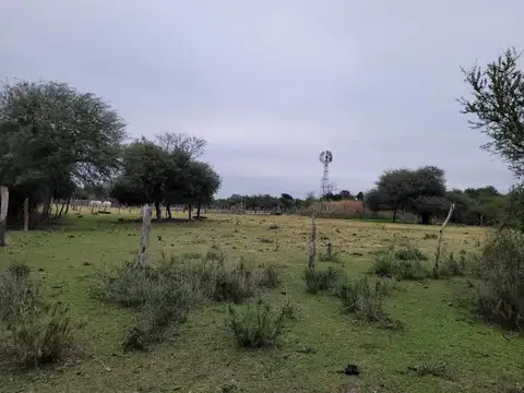 Campo en Venta de 440  ha