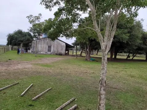 Campo en Venta Ganadero