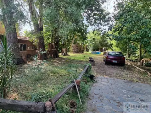 DE LA TORRE, LISANDRO 5800