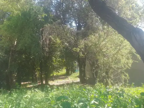 Terreno en Venta de 300,0 m2