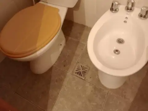 Departamento en Alquiler Permite mascota