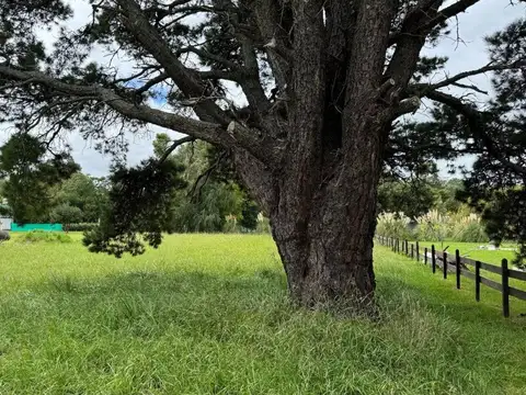 Terreno en Venta en Balneario Mar De Cobo, USD 40.000