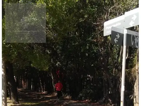 Terreno en Venta en Moron Sur, USD 390.000