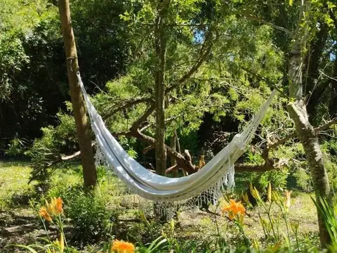 Muelle Sauce Viejo 642