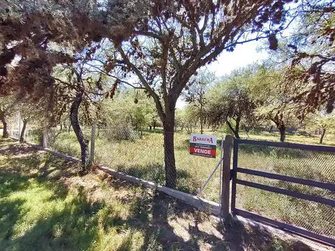 Terreno en Venta 41  mts Fondo