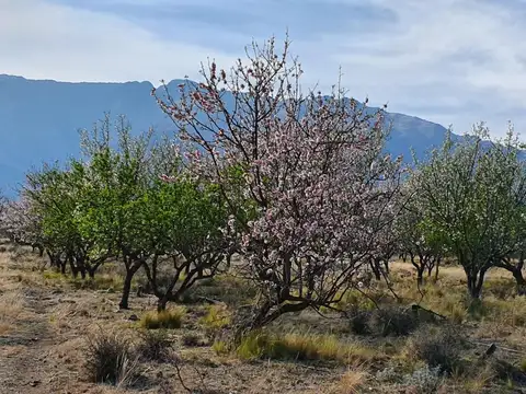 Peumayen