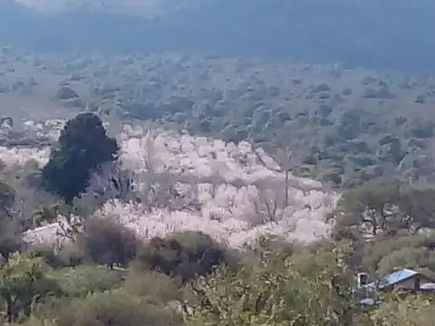 Peumayen