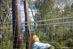 Áreas comunes piscina, gimnasio, club-house, juegos en Alamo Alto, Barrio cerrado