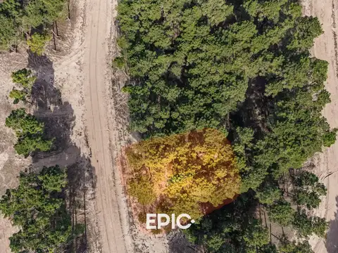 Terreno en Venta de 1099,0 m2