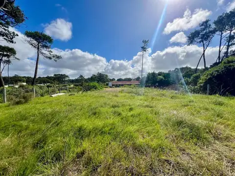 Venta terreno en Chihuahua a metros del Mar 