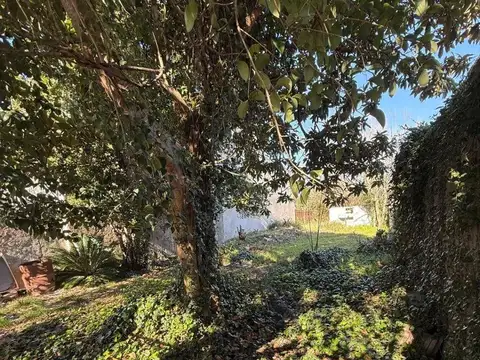 Terreno / Lote en venta de 320m2 ubicado en Muñiz