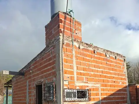 CARDO AZUL 500