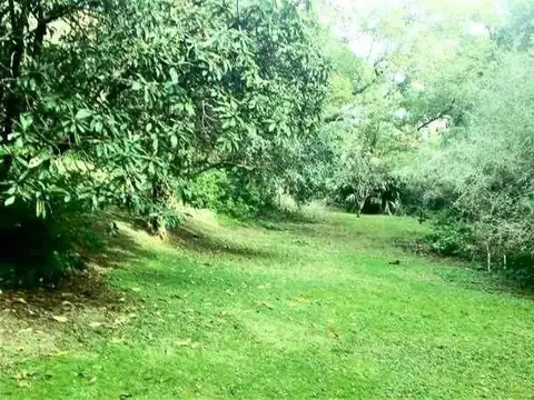 VICENTE LOPEZ Y PLANES al 1300 Vegetacion, a 3 cuadras de Lib y a 2 del rio!!!!!!!!! esclusivo