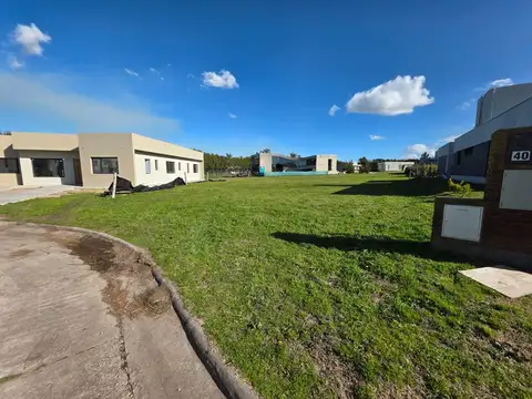 Terreno en Venta 31  mts Fondo