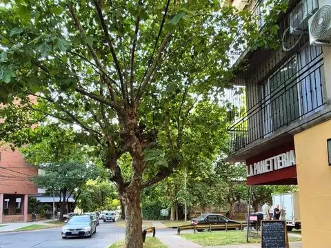 Maestro Ángel D'Elía 1700