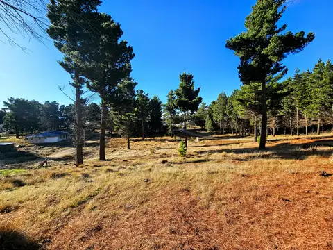Terreno en Venta en Dina Huapi, USD 30.000