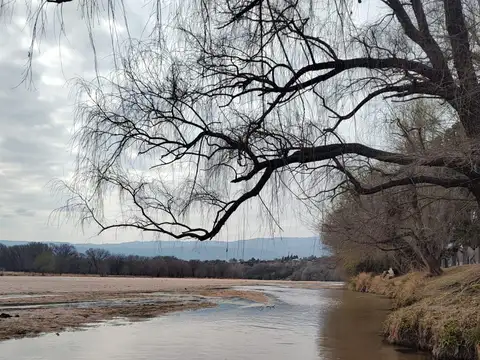 Terreno en Venta 40  mts Frente