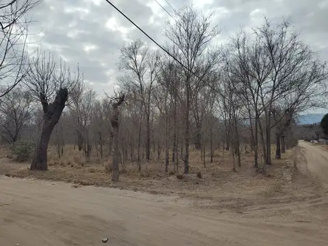 SE VENDE LOTE A 300 MTROS DEL RIO NONO Y A 700 DEL CENTRO   GENIAL